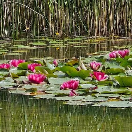 House Relax&spa Linowo Villa Linowo (Szczytno)