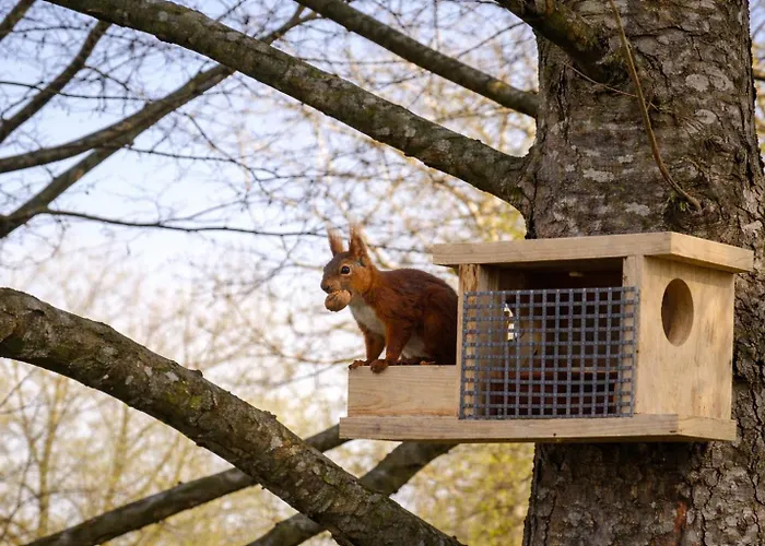 House Relax&spa Linowo * Linowo (Szczytno)