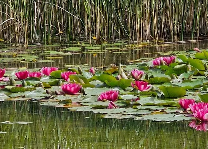 House Relax&spa Linowo Villa Linowo (Szczytno)